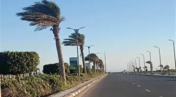رياح وشبورة.. ما المتوقع بشأن حالة الطقس من السبت إلى الأربعاء؟